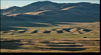 Giant Current Ripple - Camas Prairie Montana