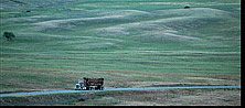 Giant Current Ripples - Camas Prairie Montana