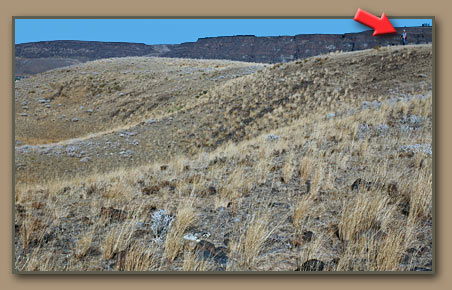 Hiker stands on top of Giant Current Ripple, created by the Ice Age Floods.