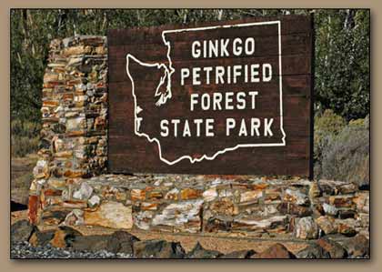 Ginkgo State Park.
