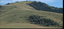 Lake Missoula strandlines - Mission Valley, Montana.