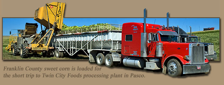 Twin City Foods Pasco area sweet corn harvest