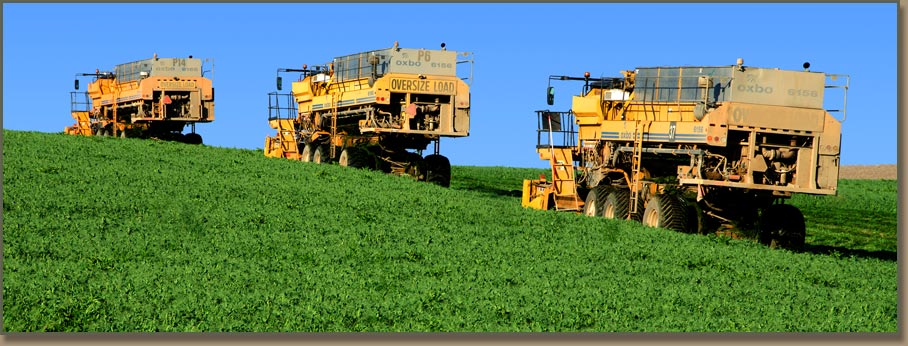 Washington State farming in the Columbia Basin.