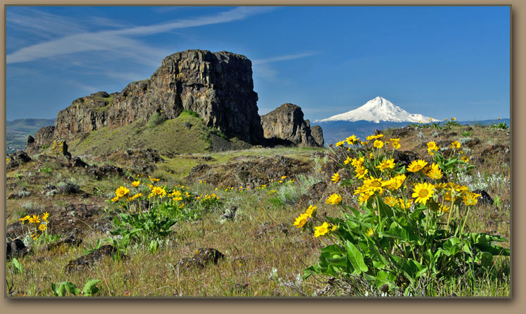 Columbia Gorge Mt Hood.