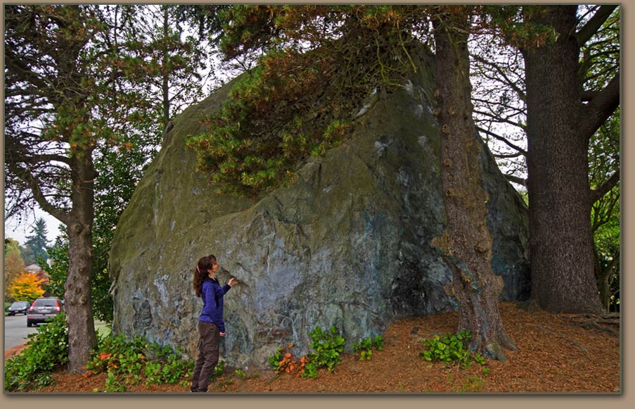 Wedgewood Erratic, Glacial Erratic Boulder Seattle, WA. - Teresa Foster