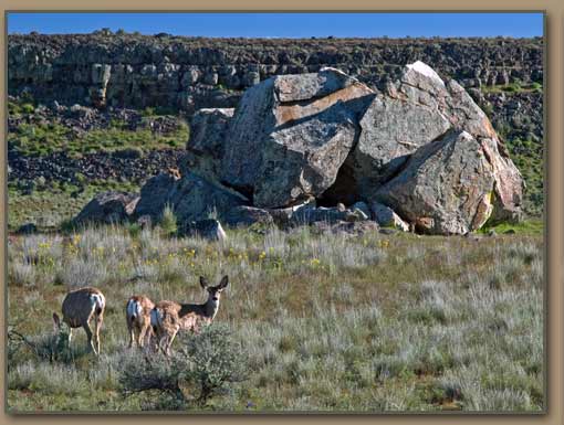 Lake Missoula Floods ice rafted erratics.