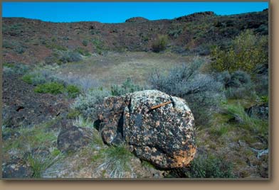 Lake Missoula Floods ice rafted erratics.