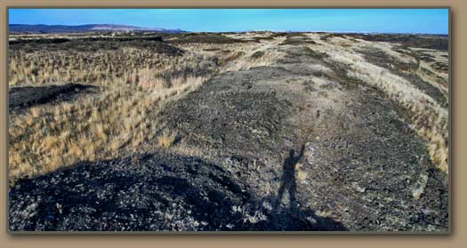Longitudinal Grooves, Grand Coulee.