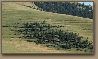 Glacial Lake Missoula strandlines above the Mission Valley.