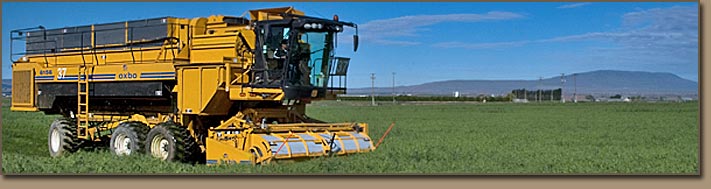 Twin City Foods harvesting peas on Clifford farm 2008